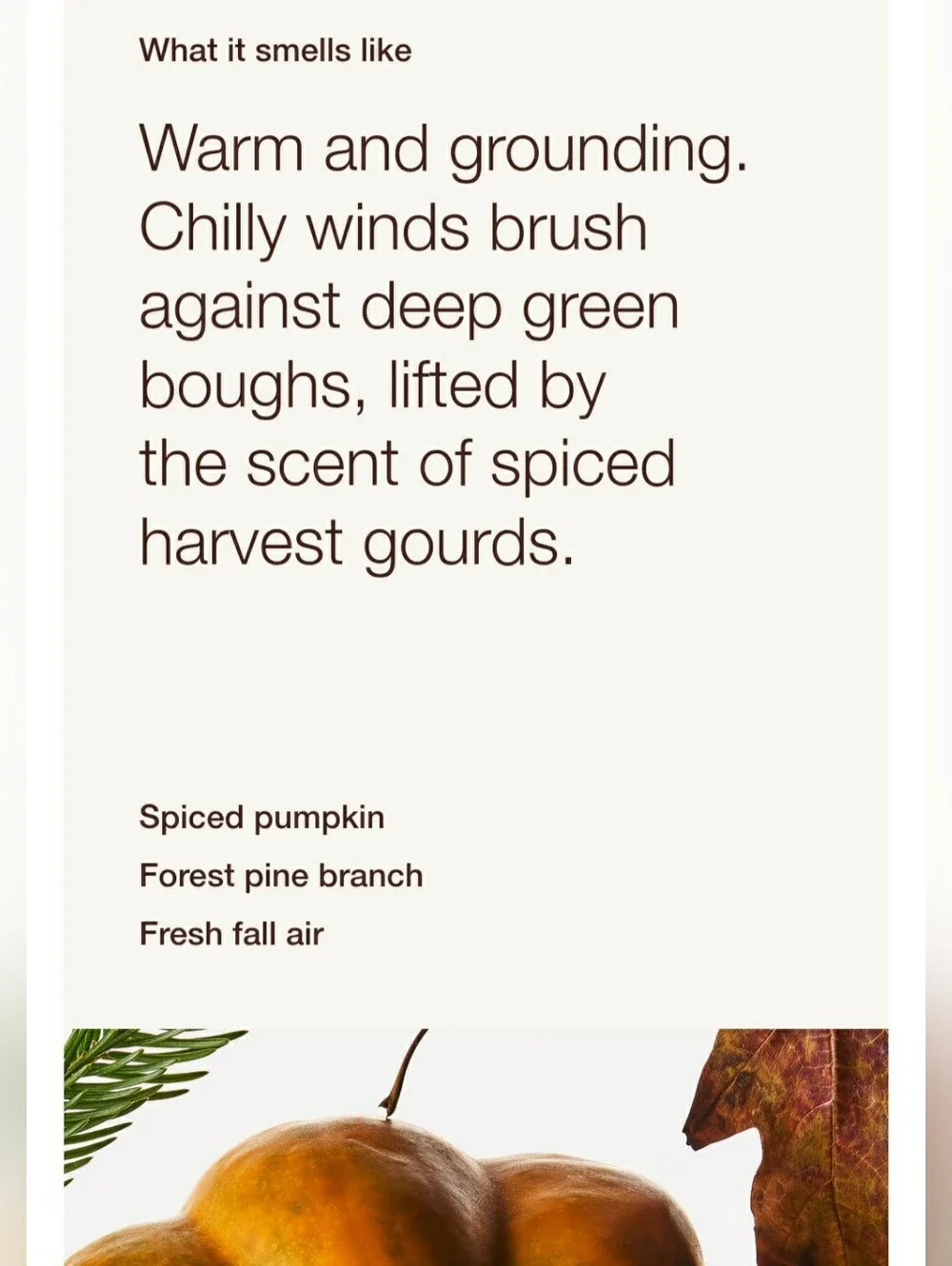 FALL FARMHOUSE -Bath & Body Works Candle Wax Melts- $8 per pack